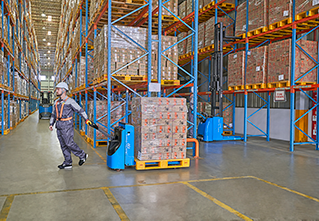 Walkie Rider BYD PTW20S