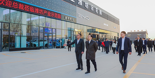 Introducción de la Compañía