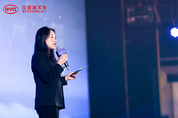 Introdução da companhia