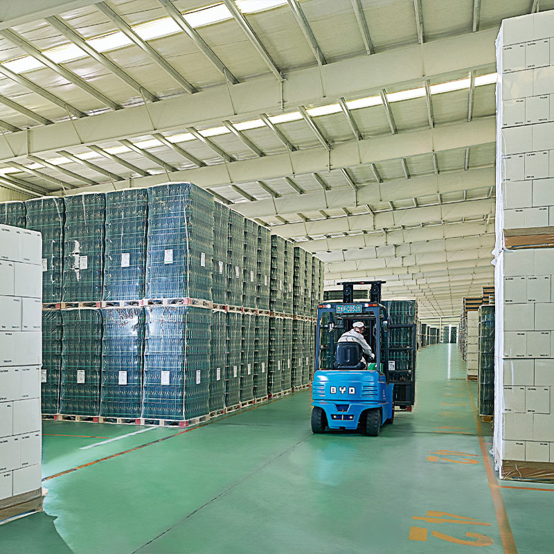 Empilhadeira de distribuição por atacado 3.0T