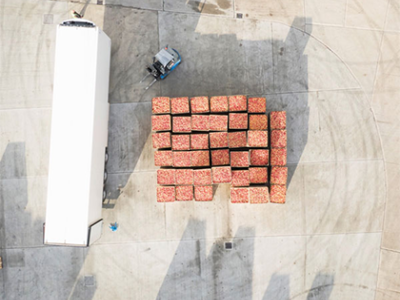 La solución libre de emisiones de BYD reduce el tamaño de la flota de montacargas