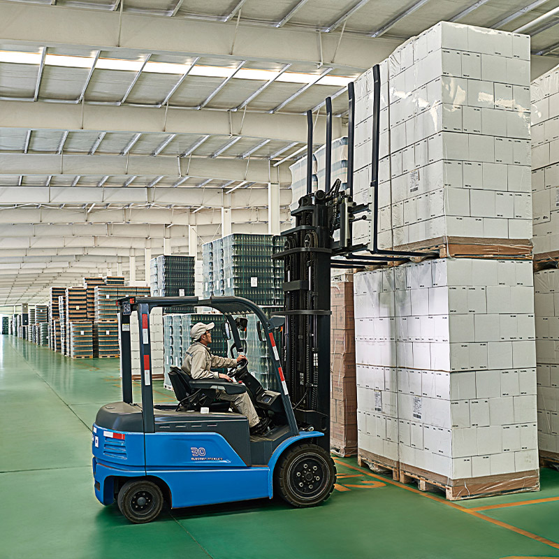 Empilhadeira de distribuição por atacado 3.0T